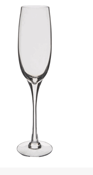 DARTINGTON CRYSTAL NEW WORLD TALL FIZZ GLASS